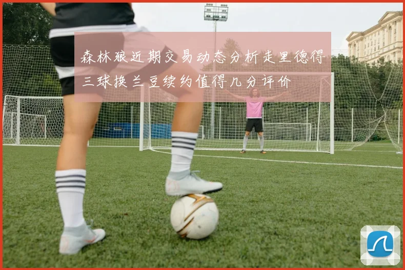 森林狼近期交易动态分析走里德得三球换兰豆续约值得几分评价